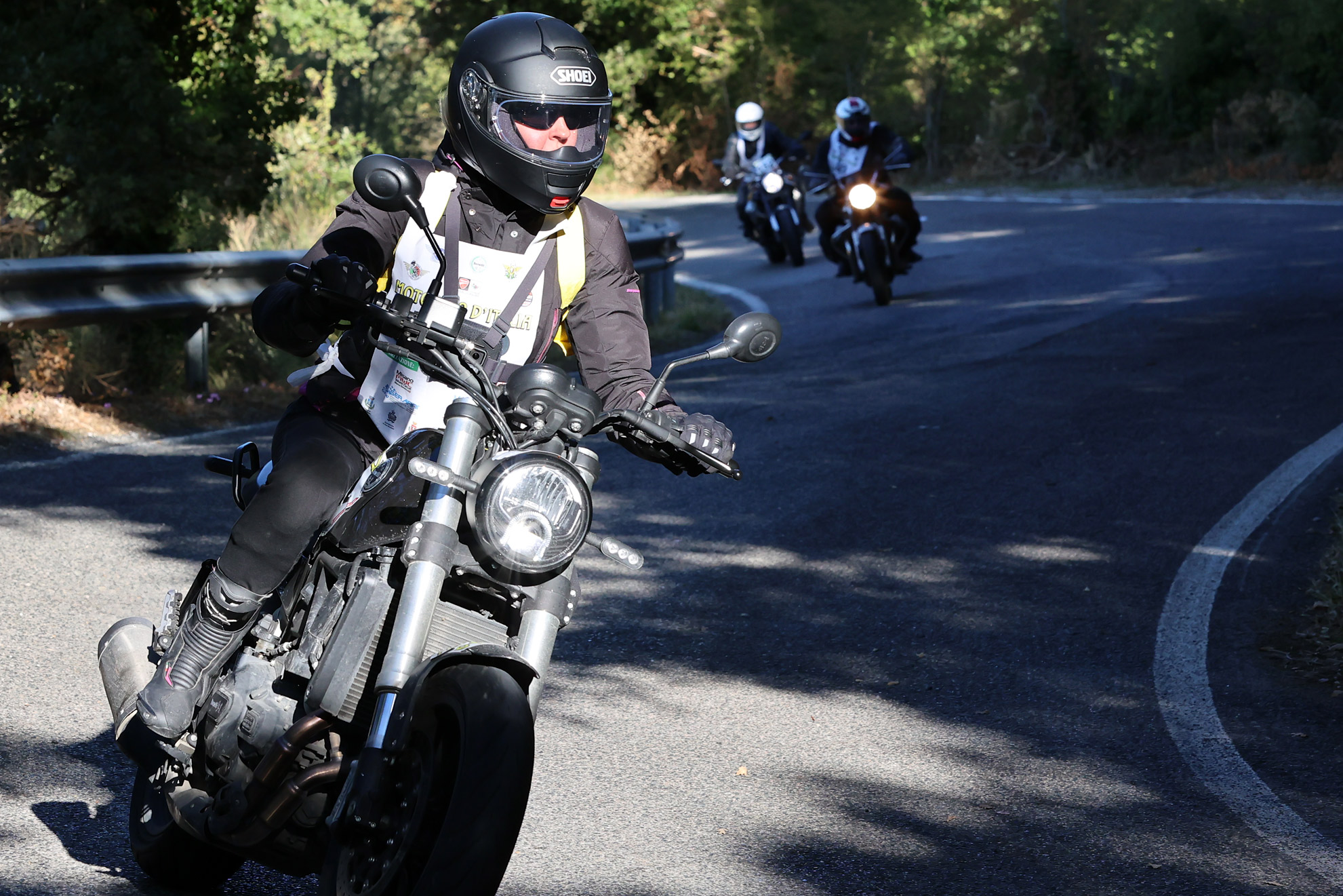 Standard Post with Gallery