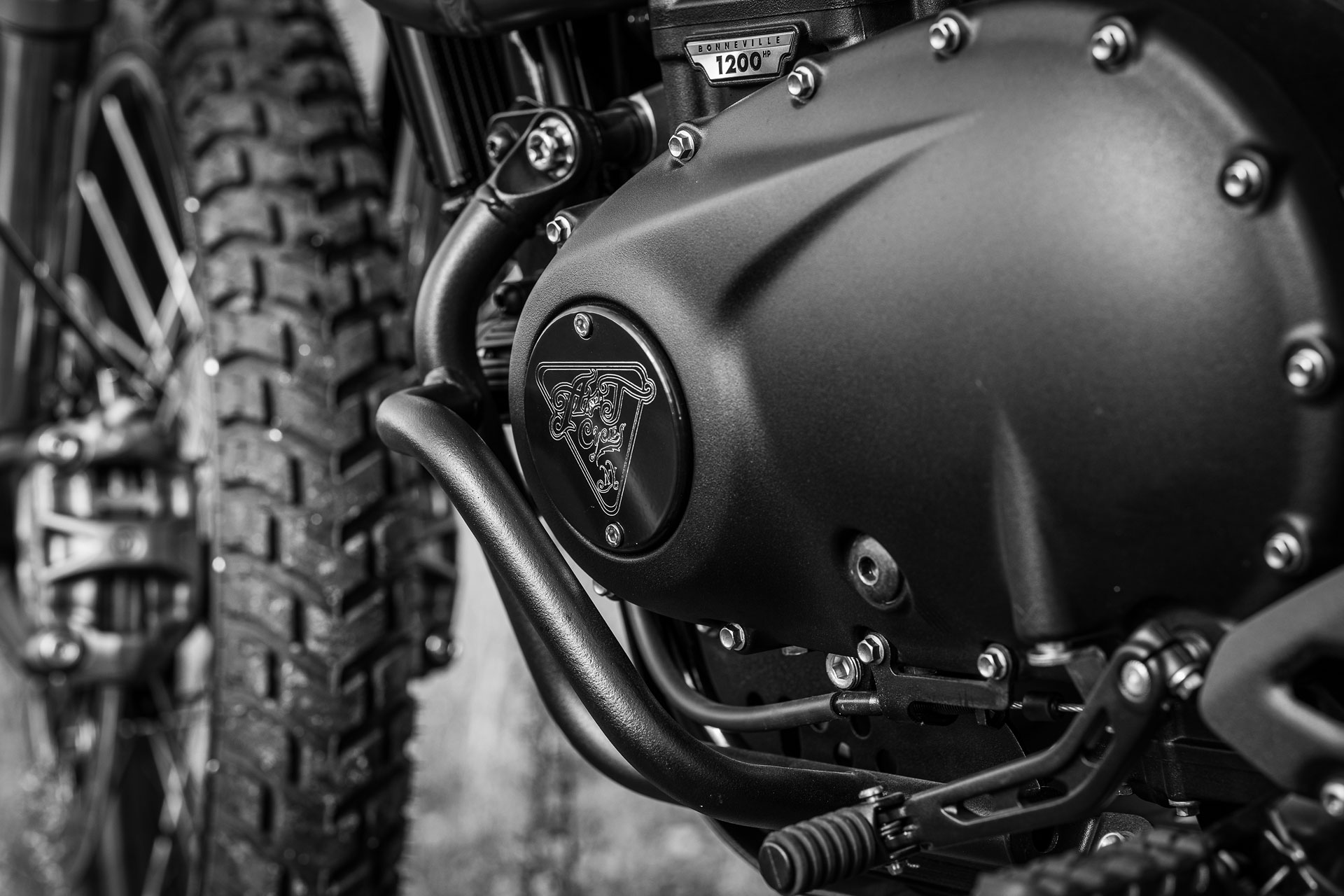 Standard Post with Gallery