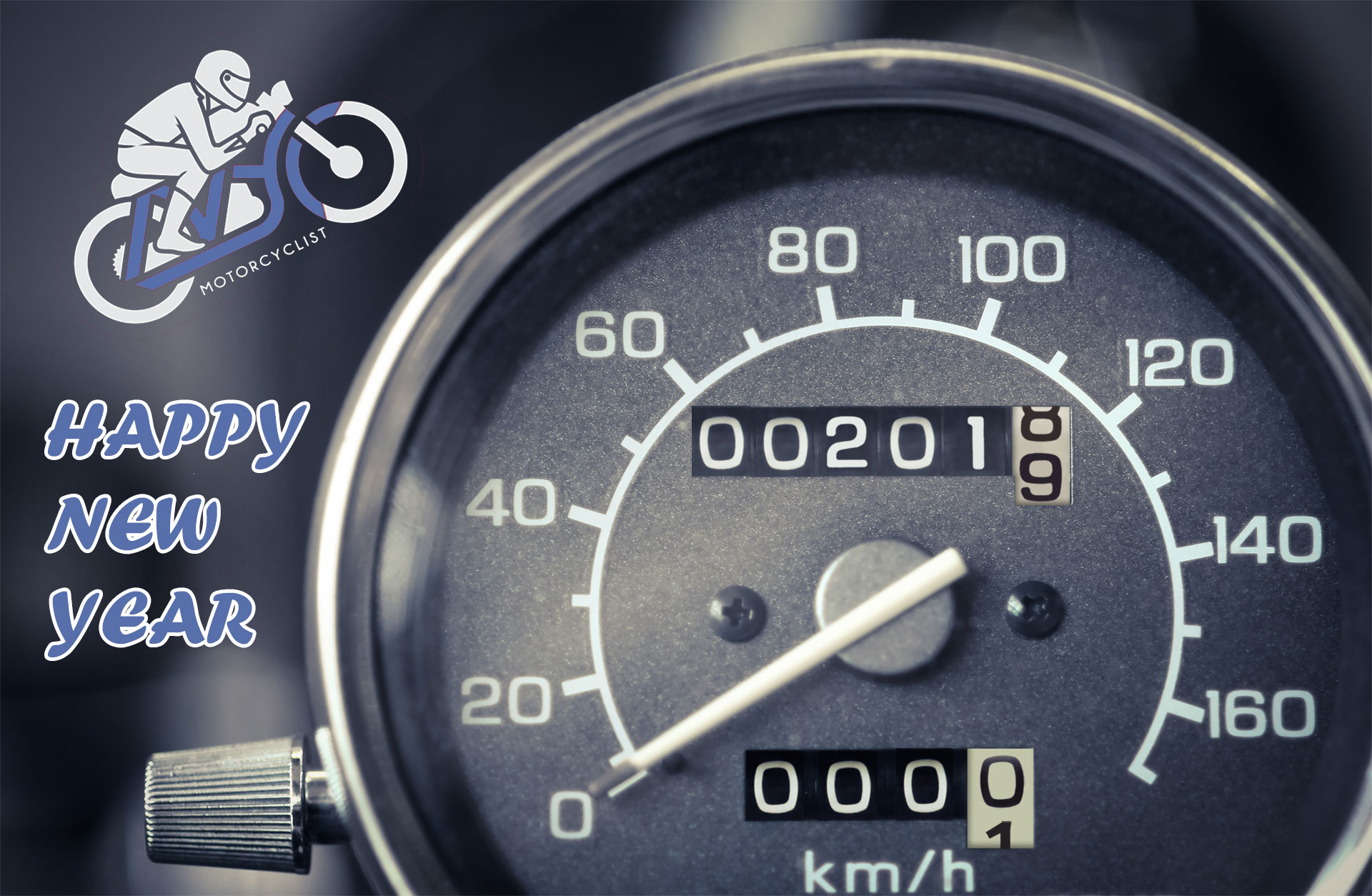 Standard Post with Gallery