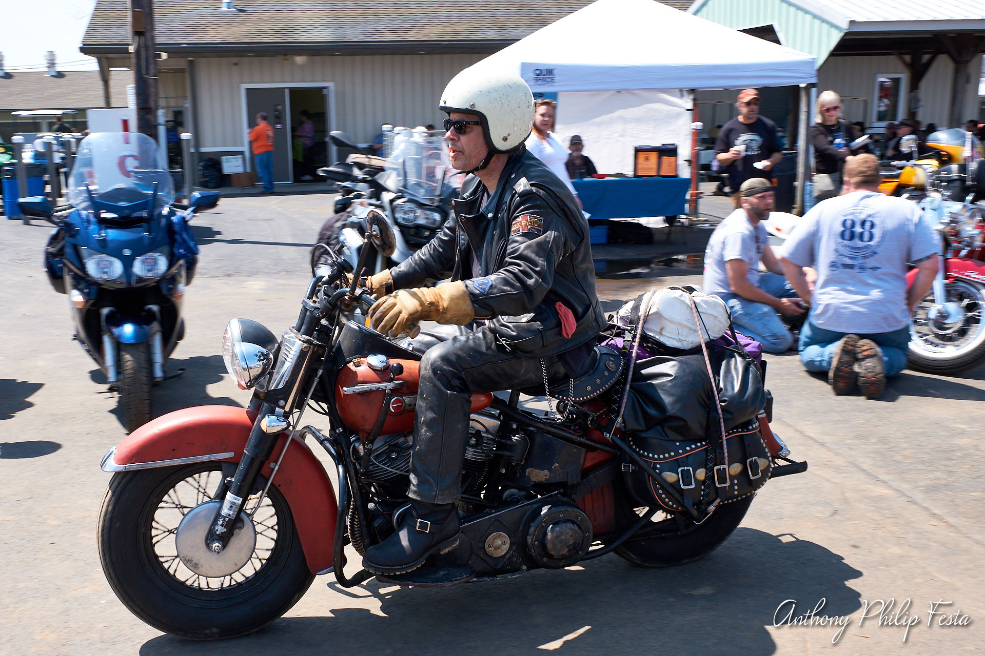 Anthony Philip Festa