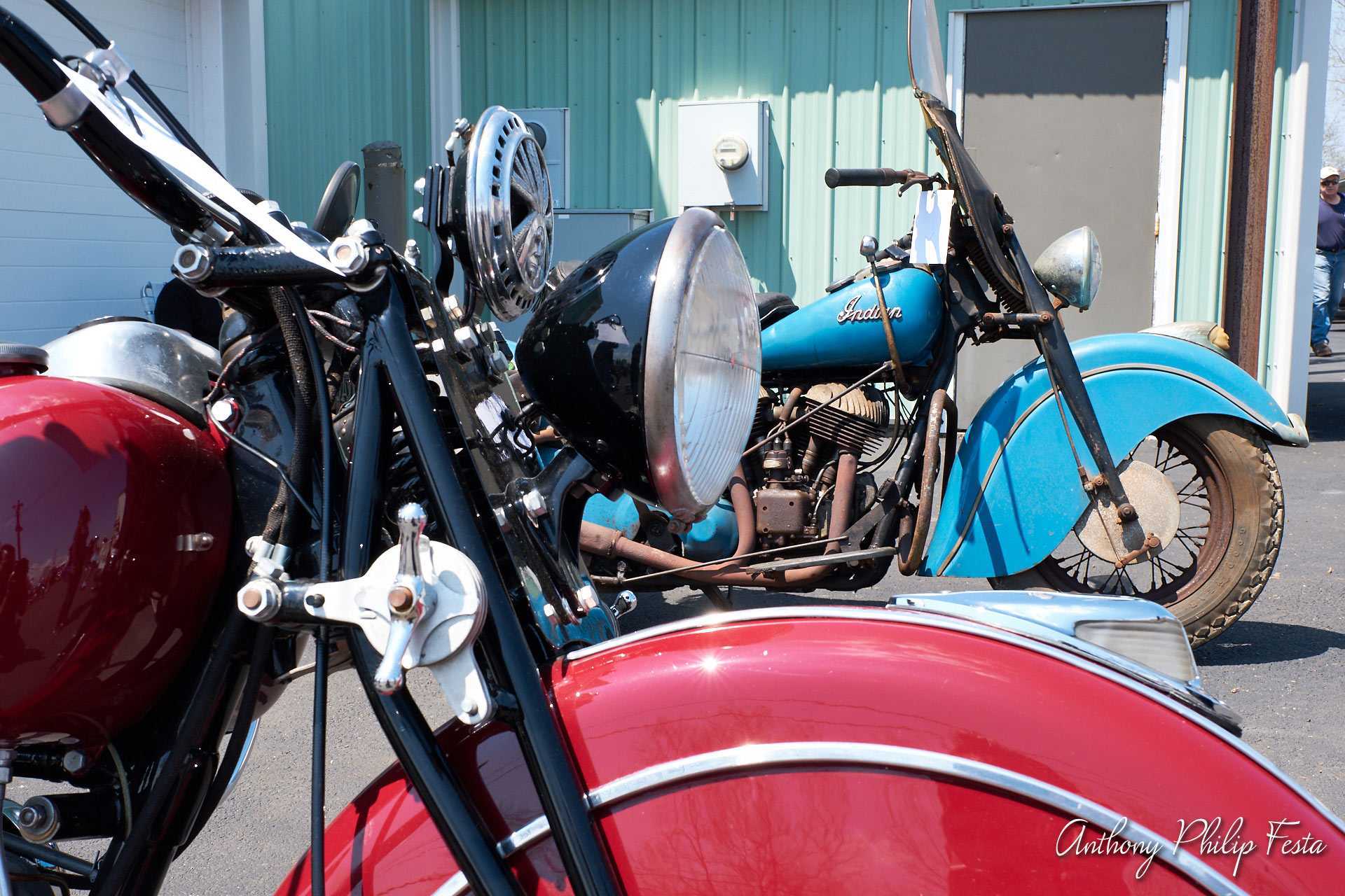 Anthony Philip Festa