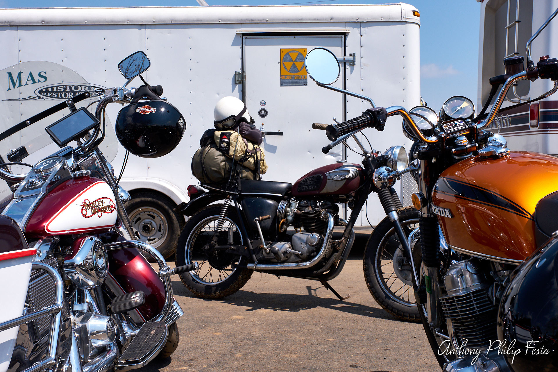 Anthony Philip Festa