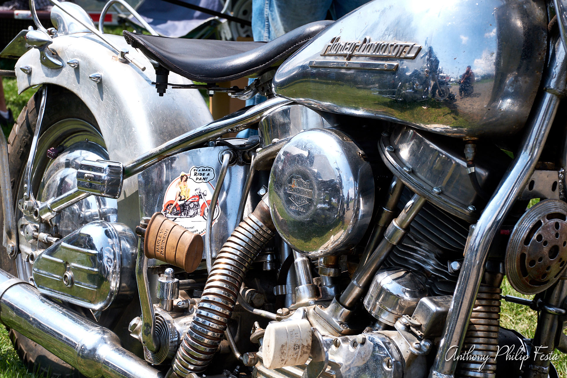 Anthony Philip Festa