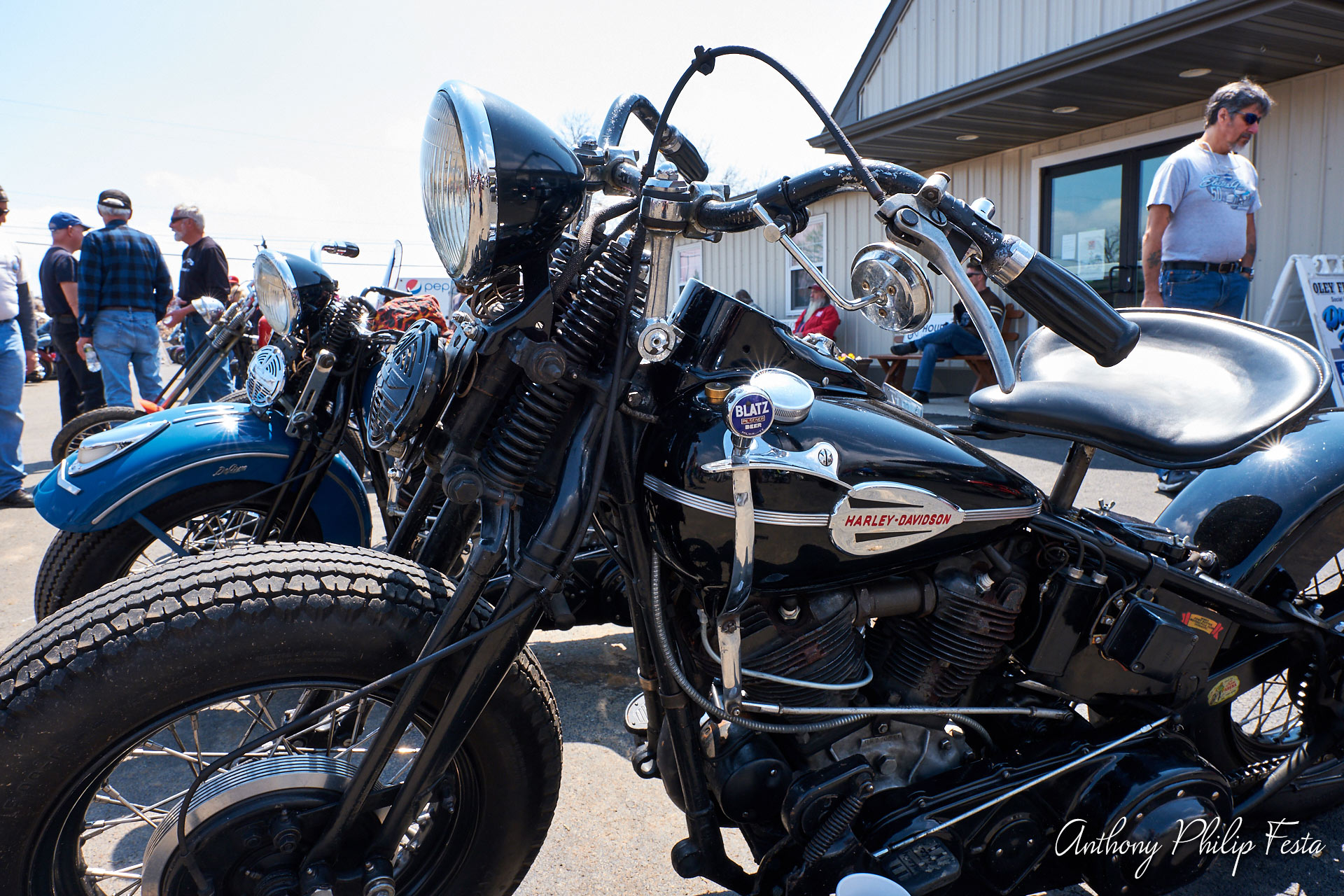 Anthony Philip Festa