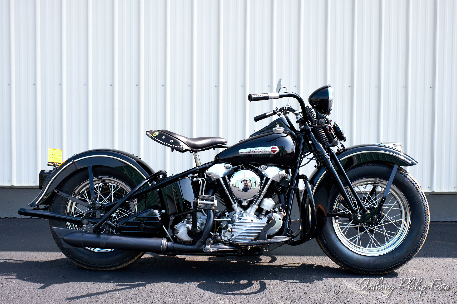 Anthony Philip Festa