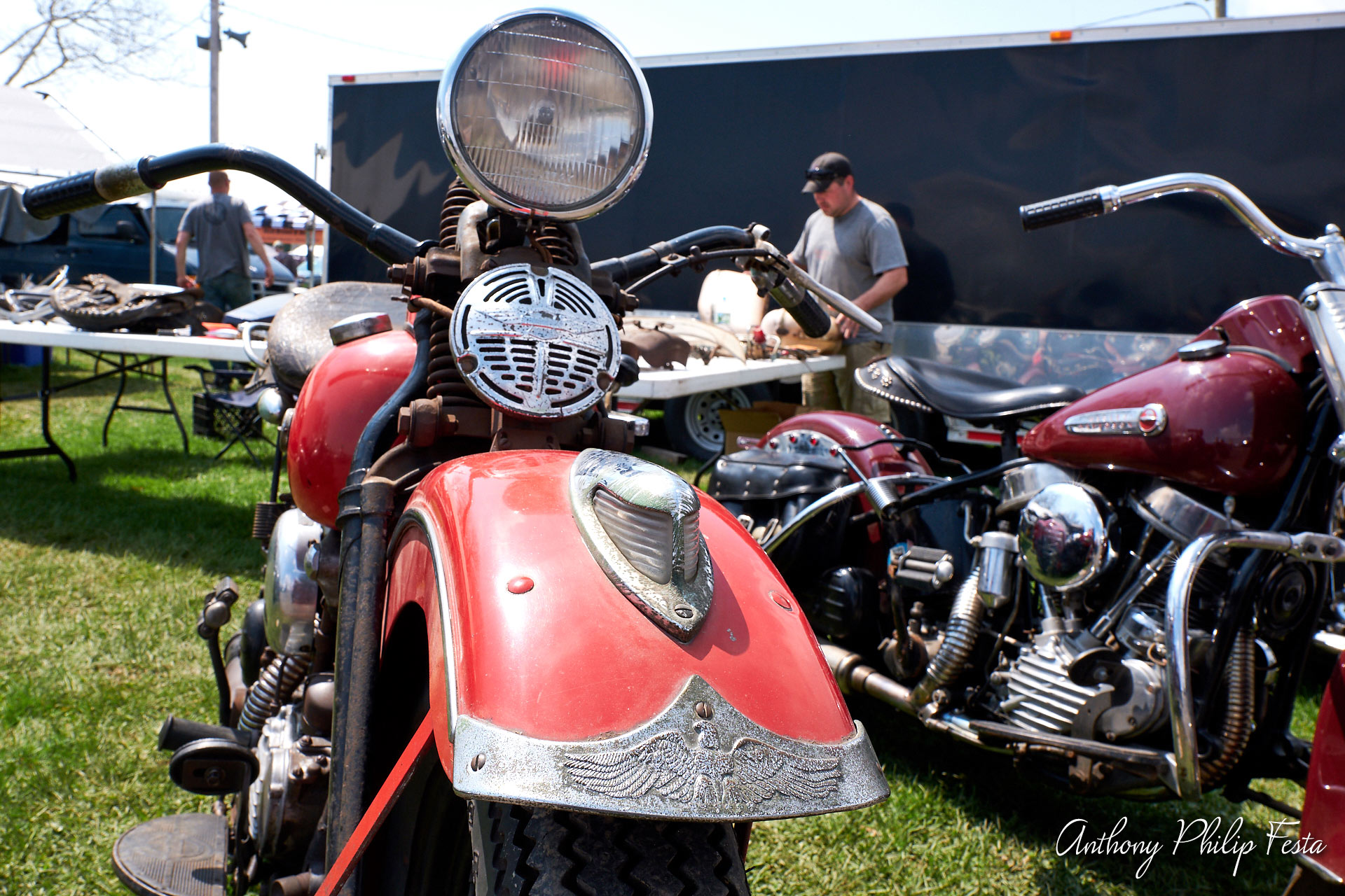 Anthony Philip Festa