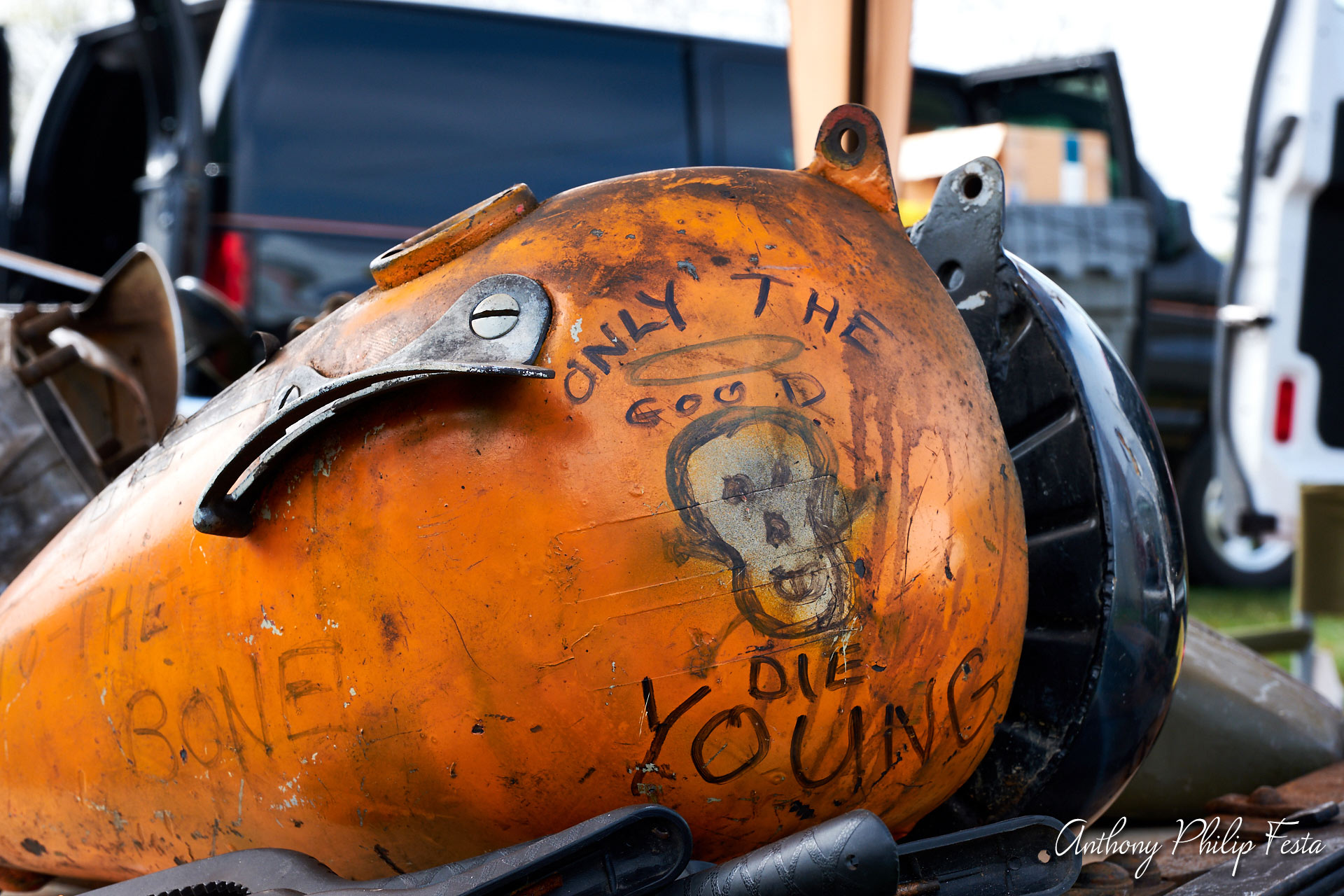 Anthony Philip Festa