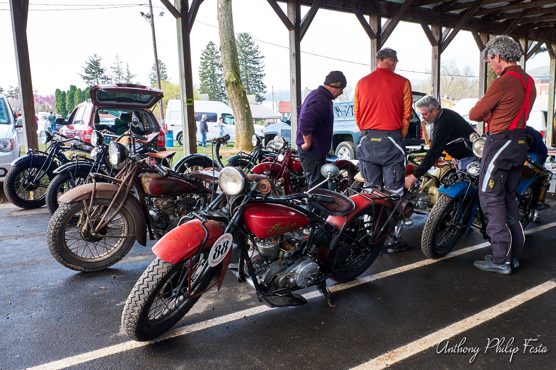 Anthony Philip Festa